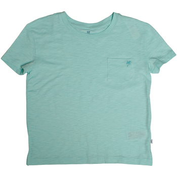Gap T-shirt Korte Mouw  793074-019