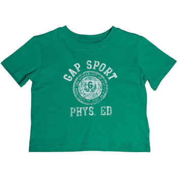 Gap T-shirt Korte Mouw  793083-003