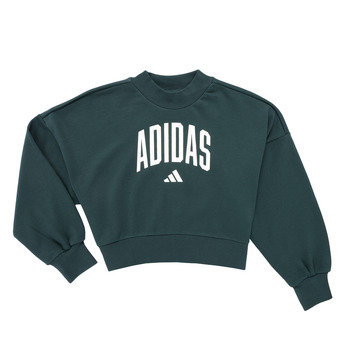 Adidas Sweater  Seasonals Essentials Collegiate Typography Crewneck Sweatshirt K