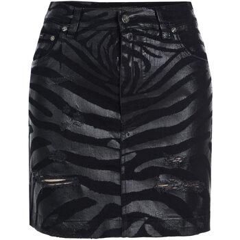 D&G Rok D&G -