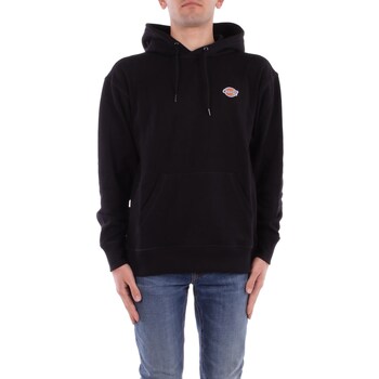 Dickies Sweater  DK0A4YLY
