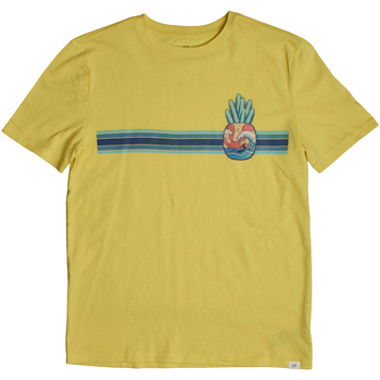 Gap T-shirt Korte Mouw  881481-000