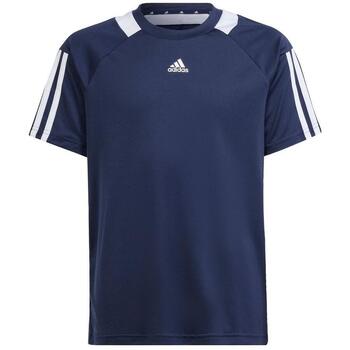 Adidas T-shirt  -