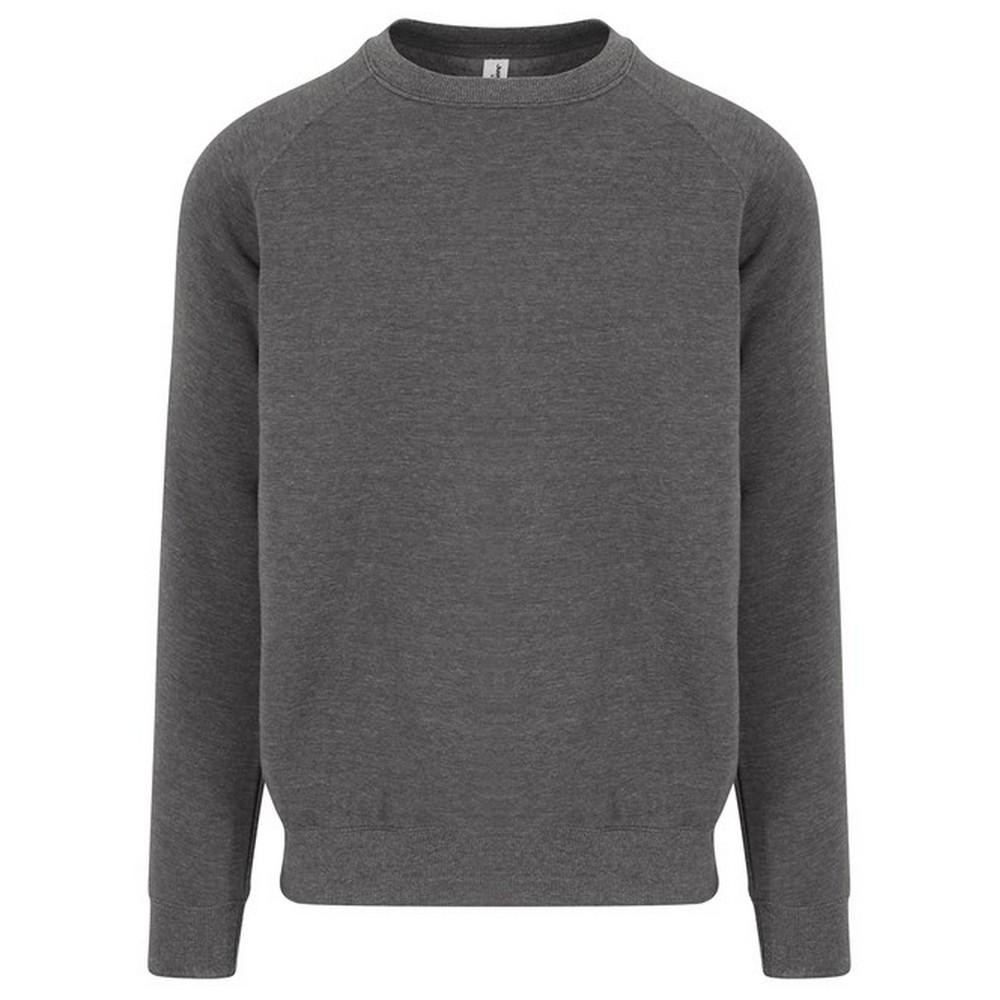Awdis afgestudeerd zwaargewicht sweatshirt voor heren XS