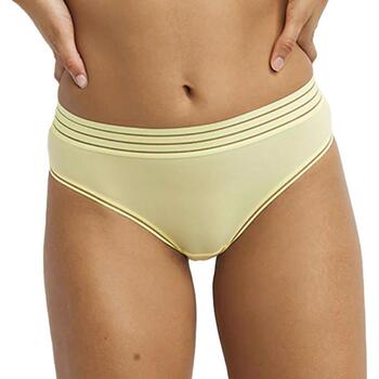 Dim Slips  -