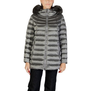 Colmar Donsjas  2233E 2YO