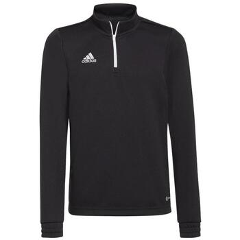 Adidas Sweater  -
