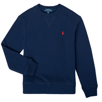 Polo Ralph Lauren Sweater  LONG SLEEVE CREWNECK SWEATSHIRT