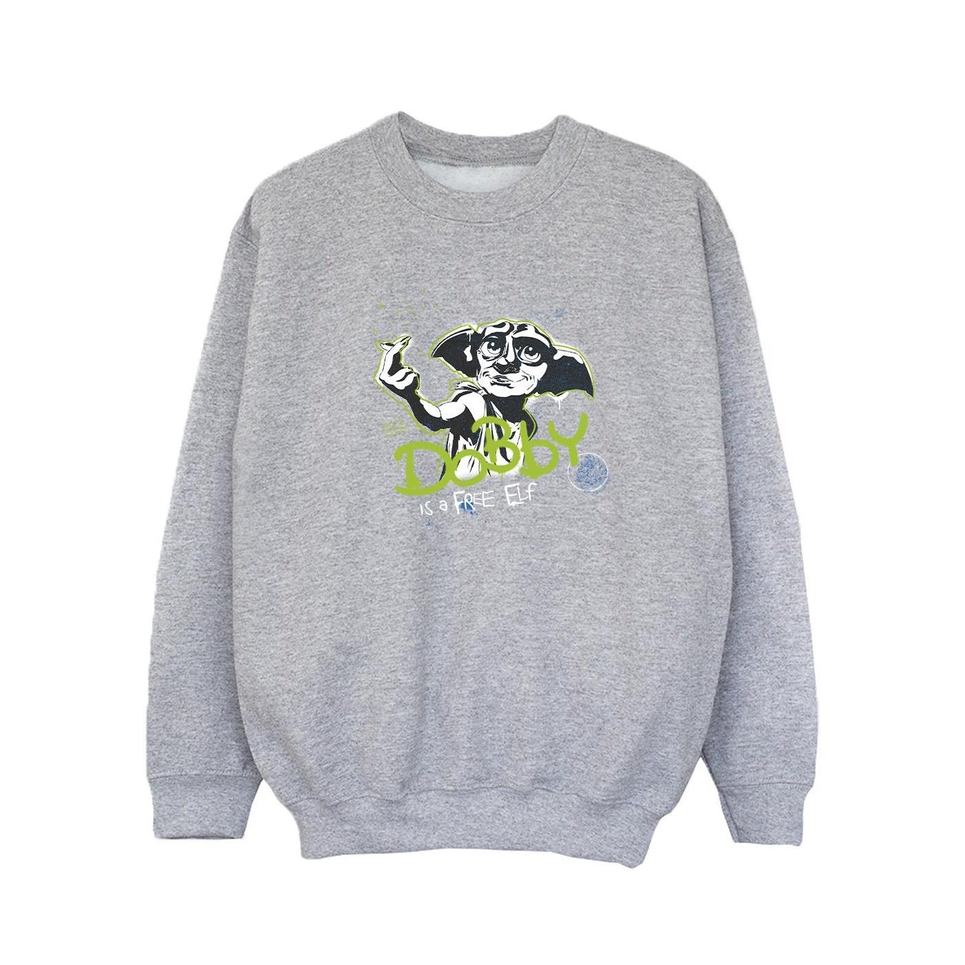 Harry Potter Girls Dobby A Free Elf-sweatshirt 5-6 Years grijs
