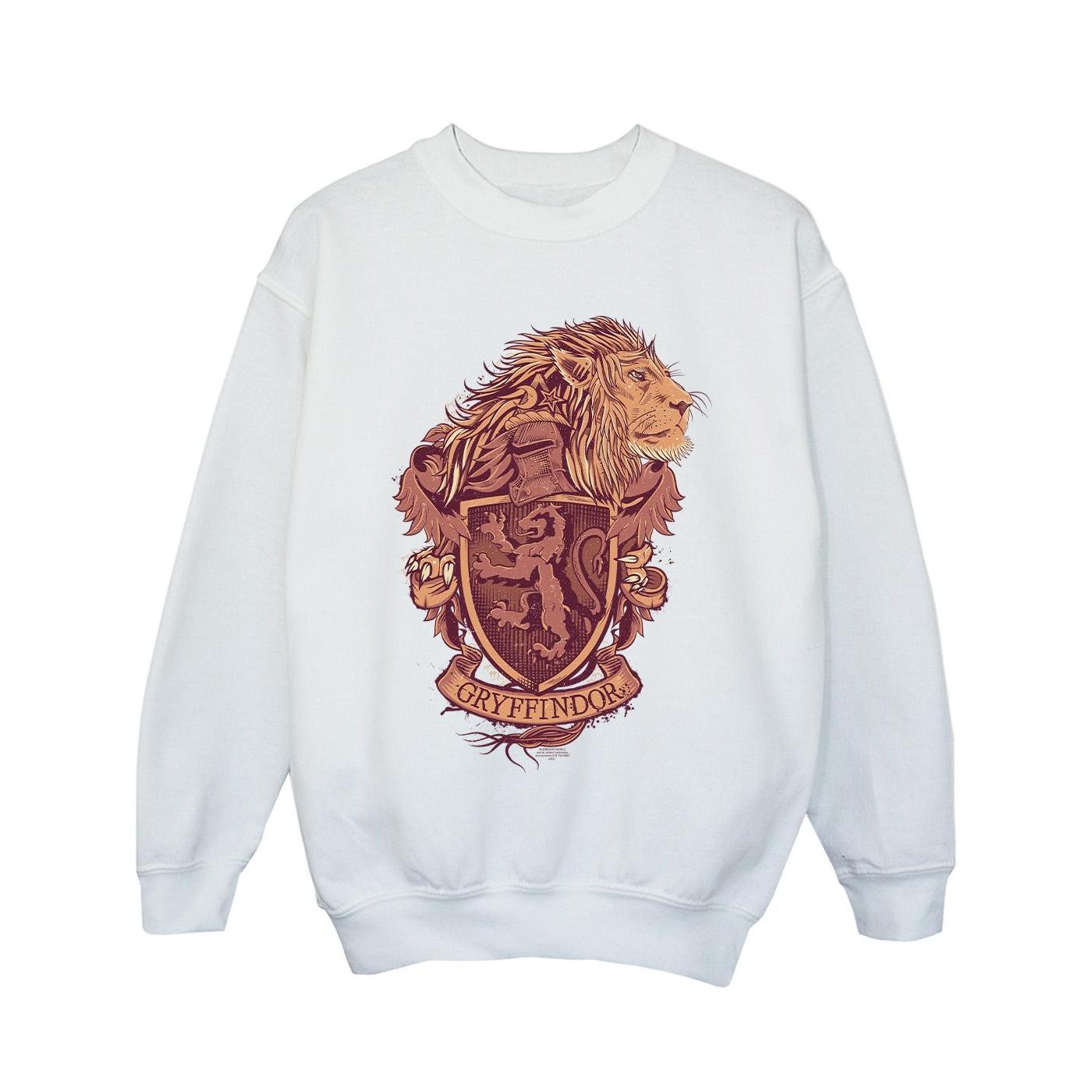 Harry Potter Girls Griffoendor Sketch Crest Sweatshirt 3-4 Years wit