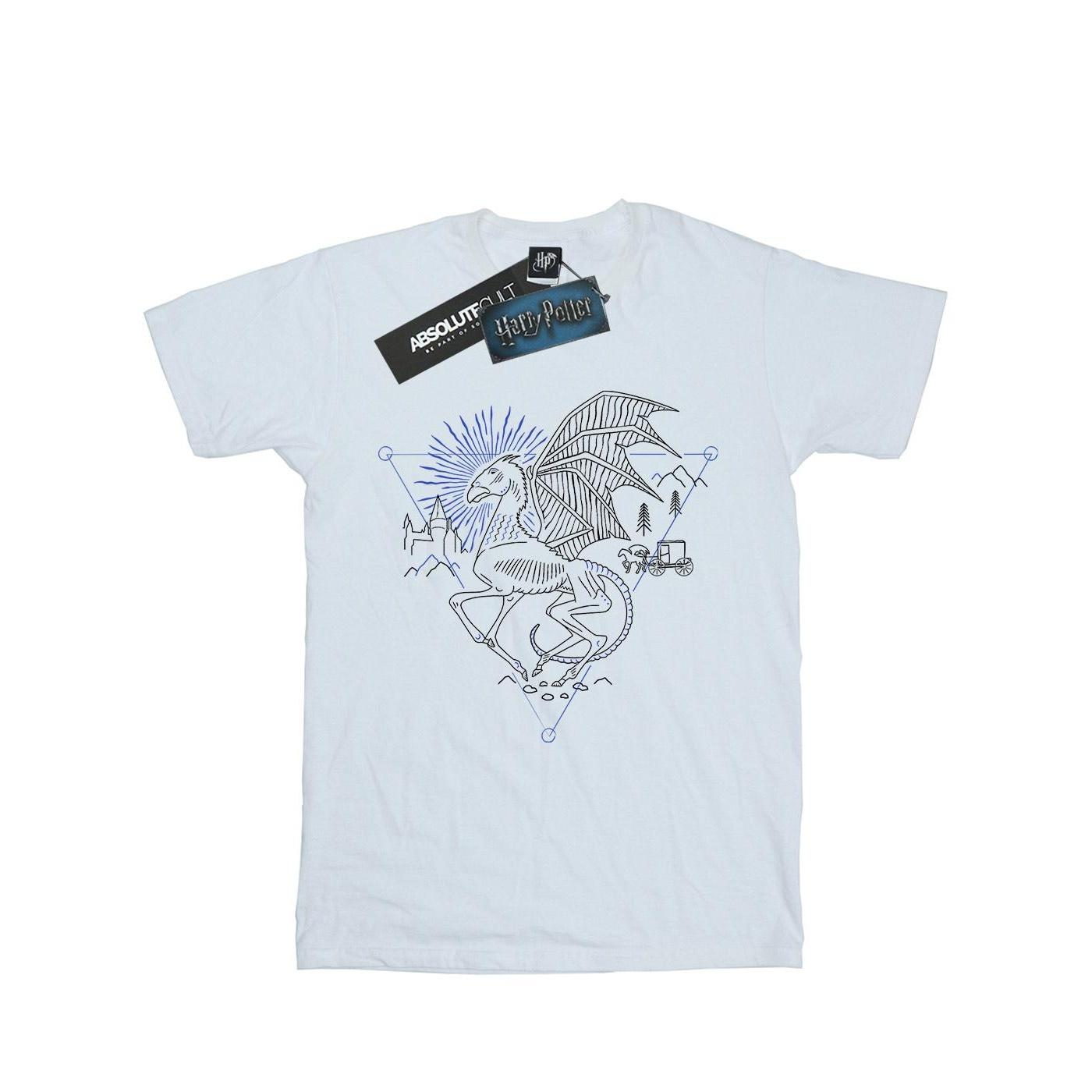 Harry Potter meisjes Thestral Line Art katoenen T-shirt 9-11 Years wit