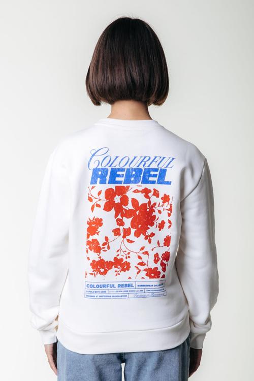 Colourful Rebel Sweater WS417082