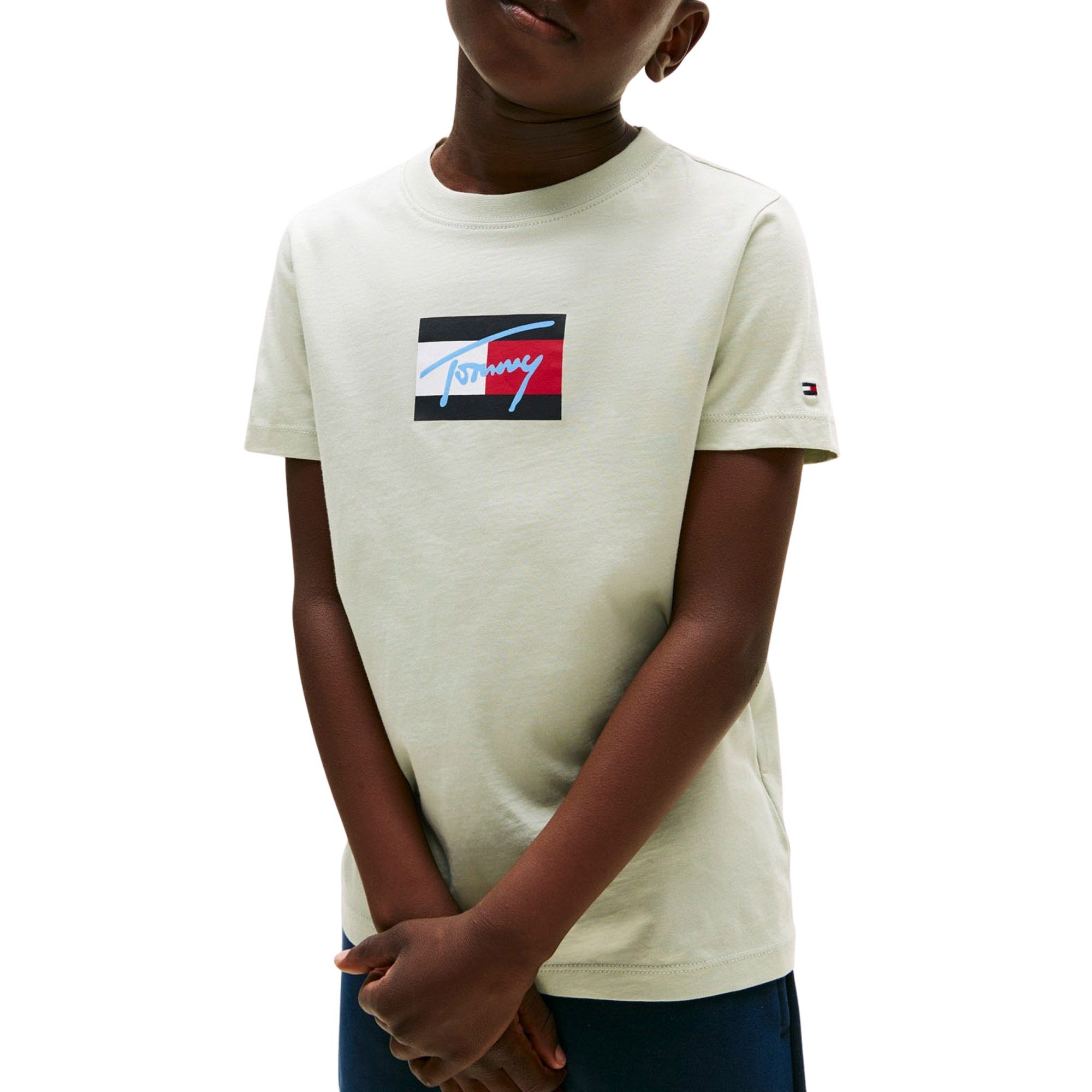 Tommy Hilfiger T-shirt TOMMY SCRIPT FLAG PRINT TEE SS