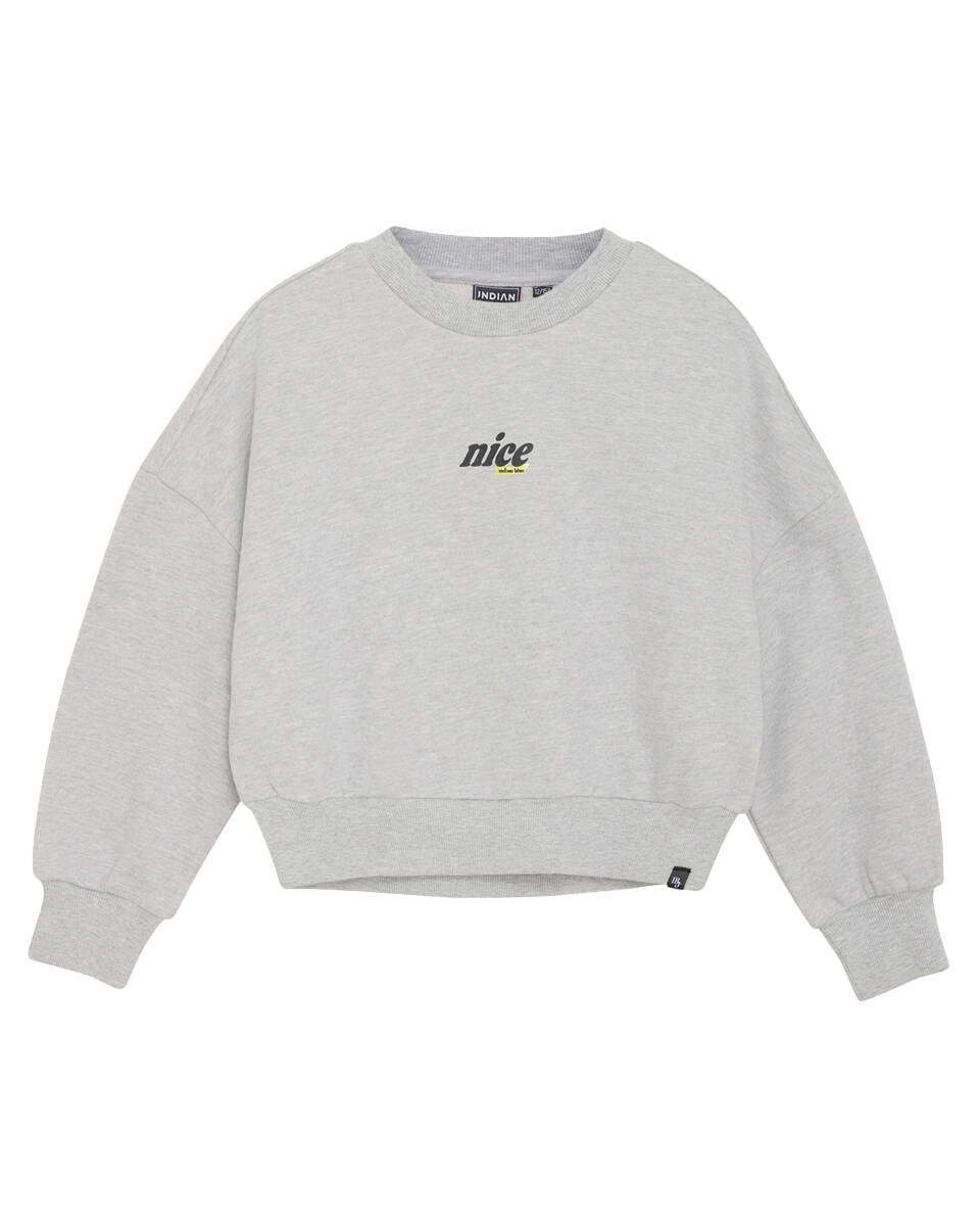 Indian Blue Sweat 970463