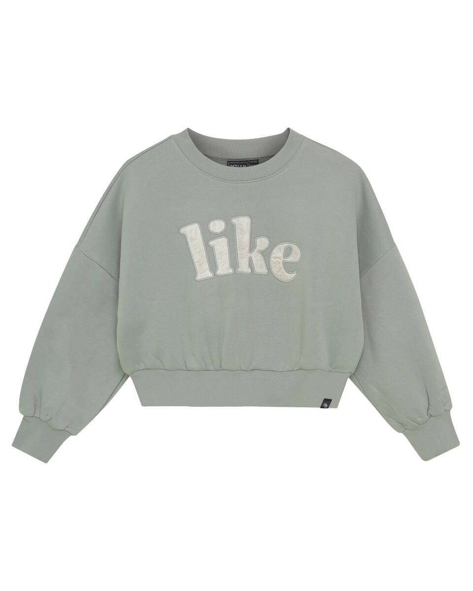 Indian Blue Sweat 970464