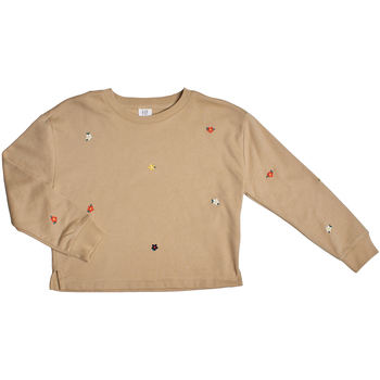 Gap Sweater  796525-004