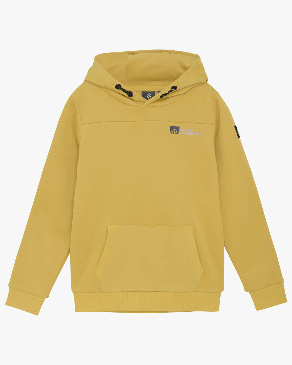 Indian Blue Hoodie 960446