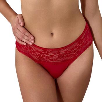 Les Petites Bombes Shorts  -