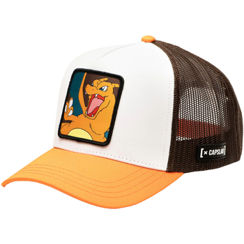 Capslab Pet  X Pokemon Charizard Cap