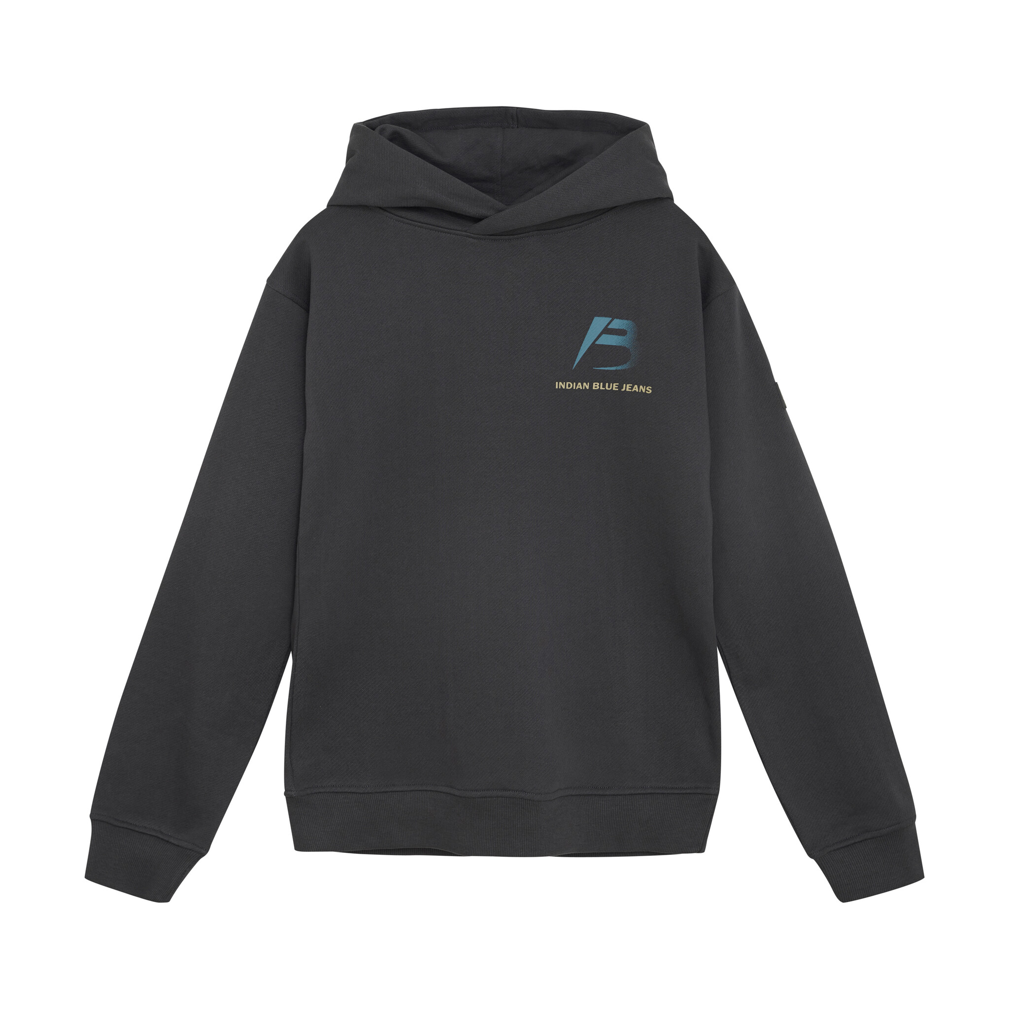 Indian Blue Jeans Winter hoodie jongens - grijs - oversized/discover
