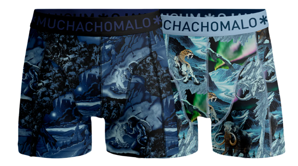 Muchachomalo Boys 2-pack boxer shorts prehistory