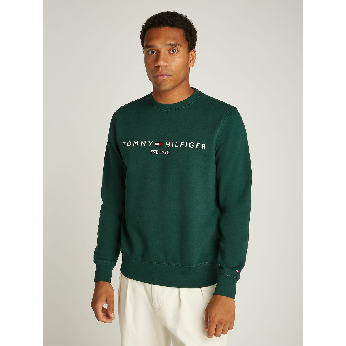 Tommy Hilfiger Sweatshirt TOMMY LOGO SWEATSHIRT met ronde hals en borduursel