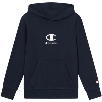 Champion Sweater  -
