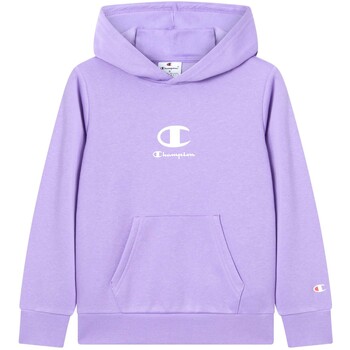 Champion Sweater  -