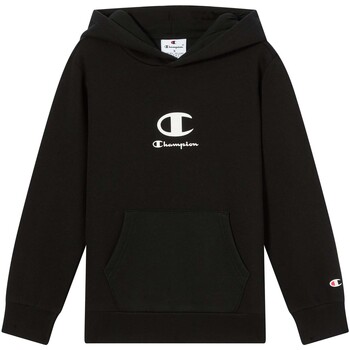 Champion Sweater  -