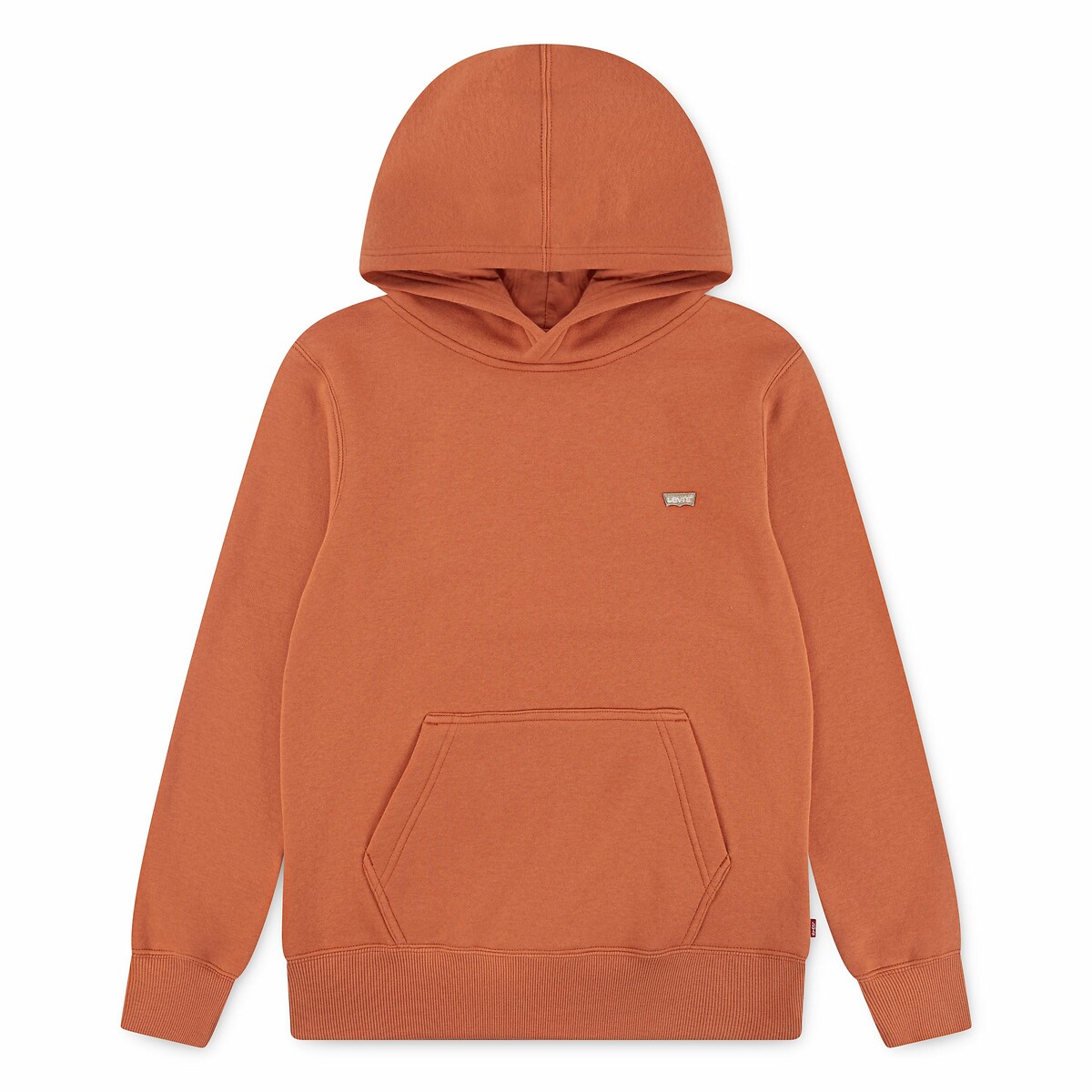 Levi's Kidswear Hoodie LVB MINI BATWING PULL OVER HOO