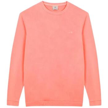Scotta Sweater  S25060161 61