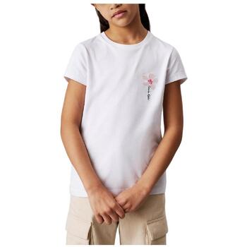 Calvin Klein Jeans T-shirt Korte Mouw  IG0IG02953YAF