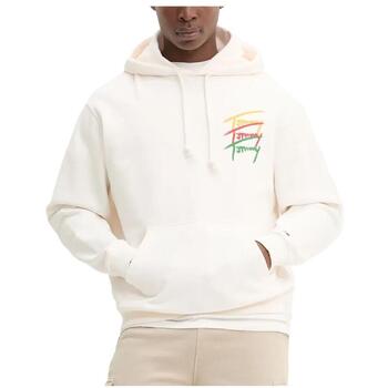 Tommy Hilfiger Sweater  DM0DM21372 YBH