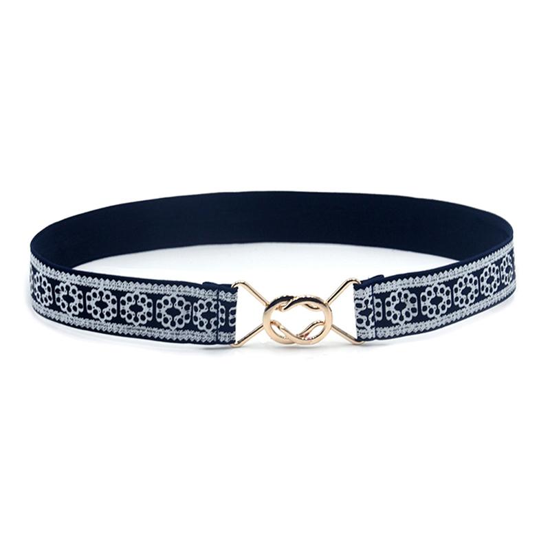Powerful Temptation Mode Dames Riemen Tailleband Dunne elastische tailleriem Jurk Kledingaccessoires blauw
