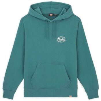 Dickies Sweater  GLOBE HOODIE - DK0A85SR0-LN1 GREEN