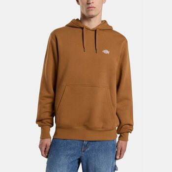 Dickies Sweater  SUMMERDALE HOODIE - DK0A4Y6P-0BD1 BROWN DUCK