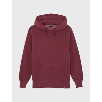 Dickies Sweater  PLENTYWOOD HD - DK0A866D-L161 ANDORRA