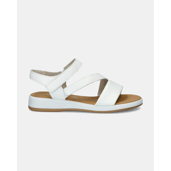 Gabor Broek  62.733.50 Cervo White