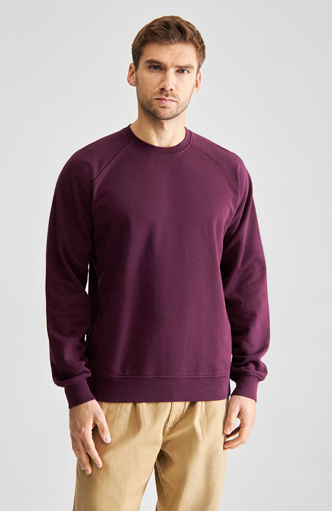 Dedicated Herren vegan Pullover Malmoe Base Fig Rot