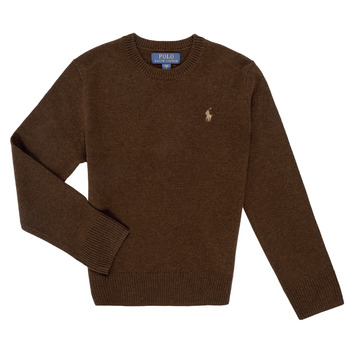 Polo Ralph Lauren Trui  LS CN TONAL-SWEATER-PULLOVER