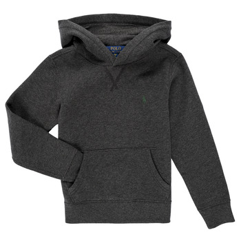Polo Ralph Lauren Sweater  LS PO HOOD