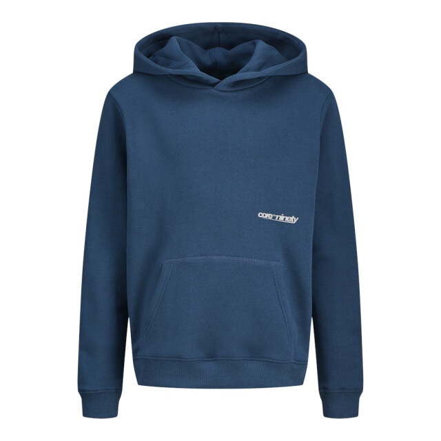 Jack & Jones Junior Hoodie JCOGRID SWEAT HOOD JNR met klein borst- en groot rugmotief