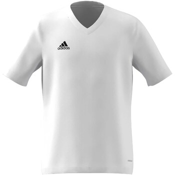 Adidas T-shirt  Ent22 Jsy Y