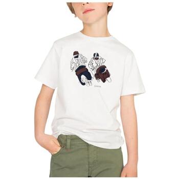 Scotta T-shirt Korte Mouw  225410050116