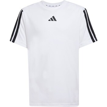 Adidas T-shirt Korte Mouw  JJ1033