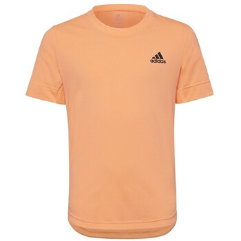 Adidas T-shirt Korte Mouw  HN0094