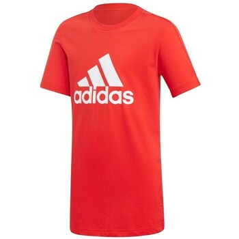 Adidas T-shirt Korte Mouw  YB Logo