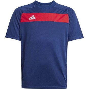 Adidas T-shirt Korte Mouw  JD0586