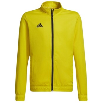 Adidas Sweater  Entrada 22
