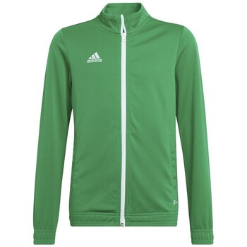 Adidas Sweater  Entrada 22